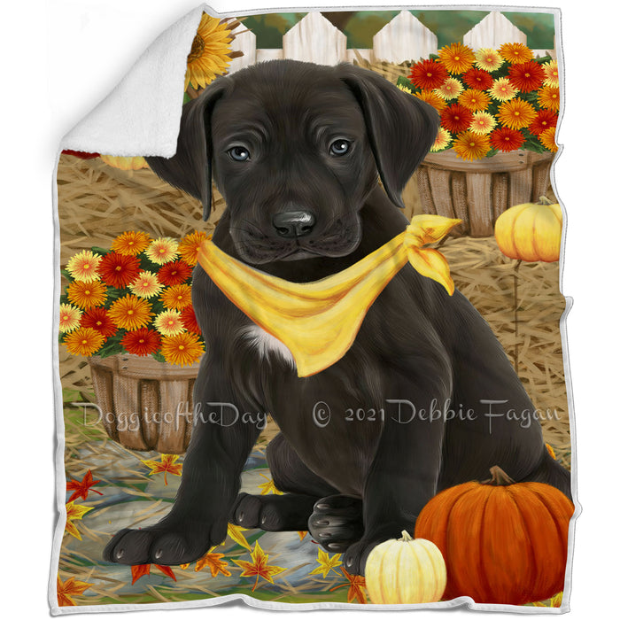 Fall Autumn Greeting Great Dane Dog with Pumpkins Blanket BLNKT72921