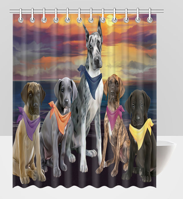 Family Sunset Portrait Great Dane Dogs Shower Curtain