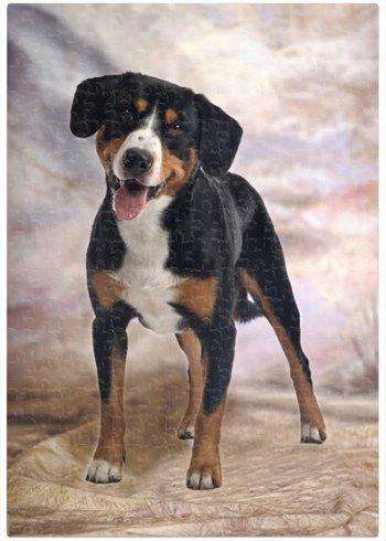 Greater Swiss Mountain Dog Puzzle 500 Pc. With Photo Tin