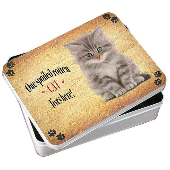 Grey Kitty Spoiled Rotten Cat Photo Storage Tin