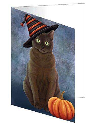 Happy Halloween American Bermese Zibeline Cat Wearing Witch Hat with Pumpkin Handmade Artwork Assorted Pets Greeting Cards and Note Cards with Envelopes for All Occasions and Holiday Seasons