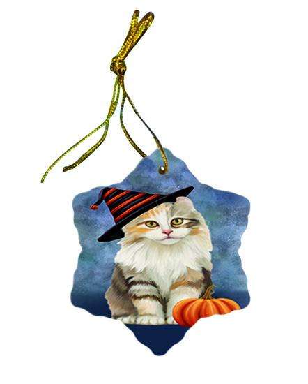 Happy Halloween American Curl Cat Wearing Witch Hat with Pumpkin Star Porcelain Ornament SPOR54972