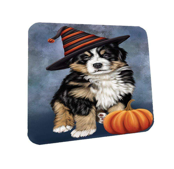 Happy Halloween Bernese Dog Wearing Witch Hat with Pumpkin Coasters Set of 4