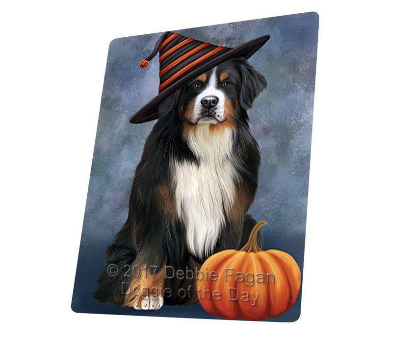 Happy Halloween Bernese Mountain Dog Wearing Witch Hat with Pumpkin Large Refrigerator / Dishwasher Magnet D097