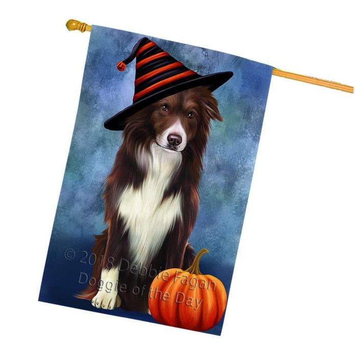 Happy Halloween Border Collie Dog Wearing Witch Hat with Pumpkin House Flag FLG55152