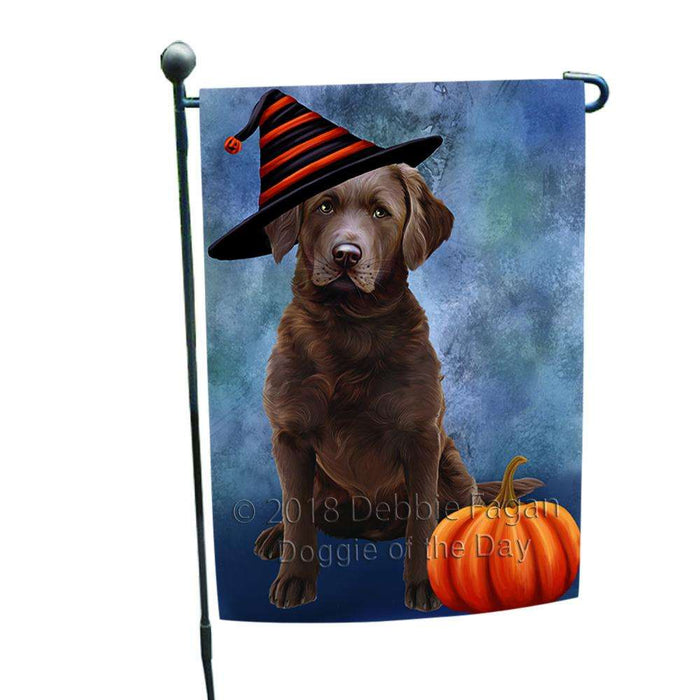 Happy Halloween Chesapeake Bay Retriever Dog Wearing Witch Hat with Pumpkin Garden Flag GFLG55054