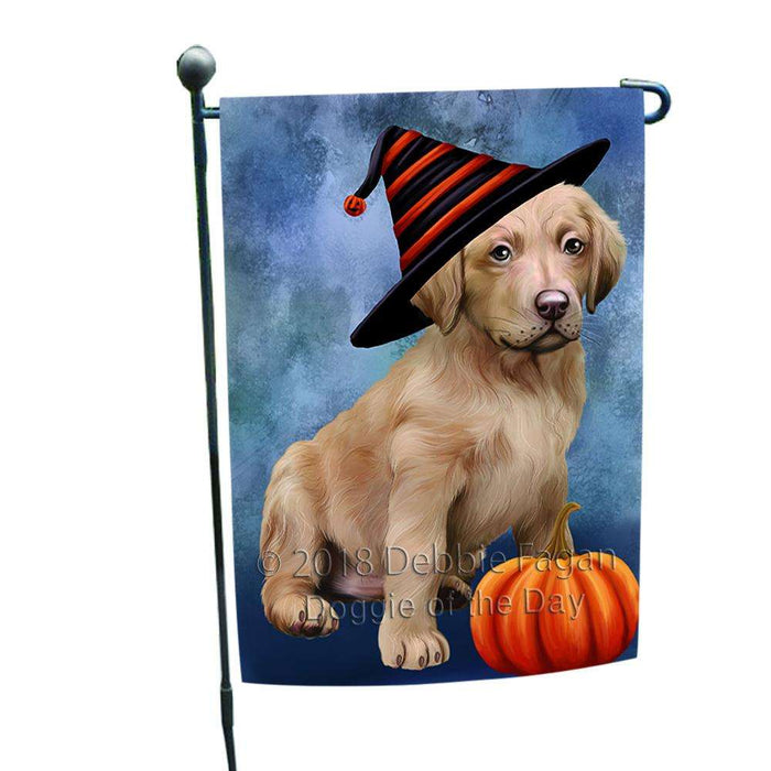 Happy Halloween Chesapeake Bay Retriever Dog Wearing Witch Hat with Pumpkin Garden Flag GFLG55055