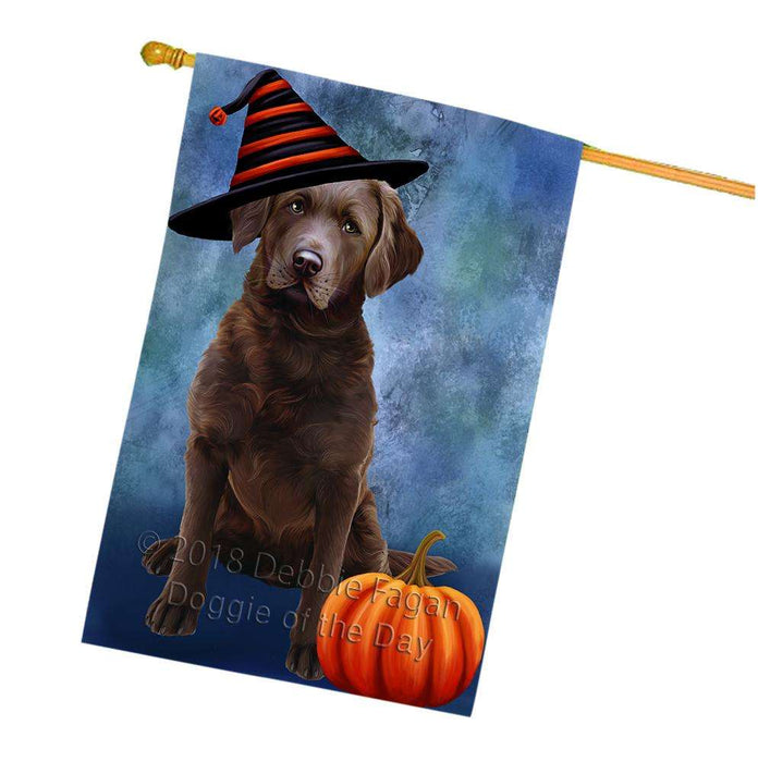 Happy Halloween Chesapeake Bay Retriever Dog Wearing Witch Hat with Pumpkin House Flag FLG55190