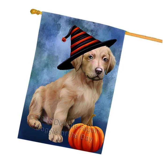 Happy Halloween Chesapeake Bay Retriever Dog Wearing Witch Hat with Pumpkin House Flag FLG55191