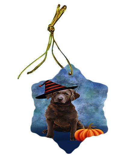 Happy Halloween Chesapeake Bay Retriever Dog Wearing Witch Hat with Pumpkin Star Porcelain Ornament SPOR55042