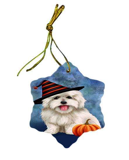 Happy Halloween Coton De Tulear Dog Wearing Witch Hat with Pumpkin Star Porcelain Ornament SPOR55015