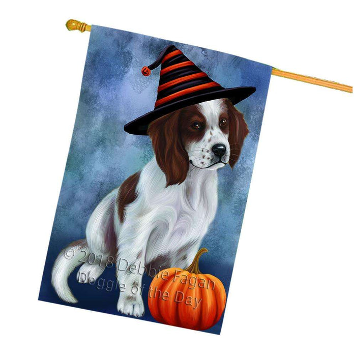 Happy Halloween Irish Setter Dog Wearing Witch Hat with Pumpkin House Flag FLG55086