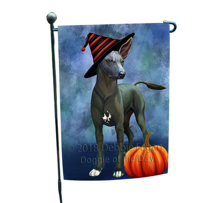 Happy Halloween Mexican Hairless Dog Wearing Witch Hat with Pumpkin Garden Flag GFLG54952