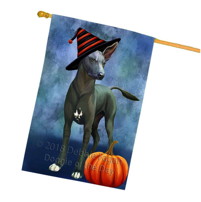Happy Halloween Mexican Hairless Dog Wearing Witch Hat with Pumpkin House Flag FLG55088