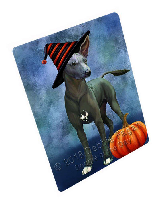 Happy Halloween Mexican Hairless Dog Wearing Witch Hat with Pumpkin Large Refrigerator / Dishwasher Magnet RMAG90222