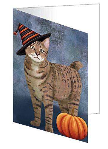 Happy Halloween Pixie Bob Cat Wearing Witch Hat with Pumpkin Handmade Artwork Assorted Pets Greeting Cards and Note Cards with Envelopes for All Occasions and Holiday Seasons D514