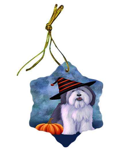 Happy Halloween Polish Lowland Sheepdog Wearing Witch Hat with Pumpkin Star Porcelain Ornament SPOR55106