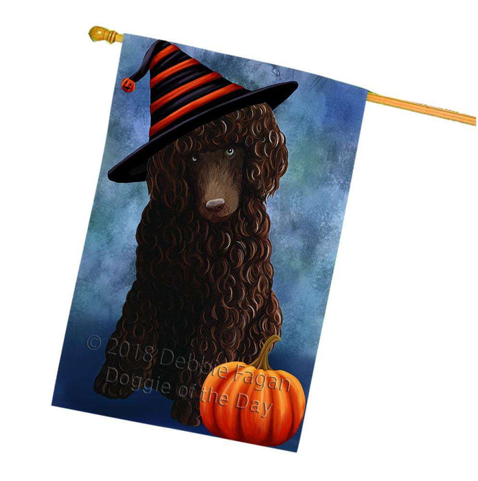 Happy Halloween Poodle Dog Wearing Witch Hat with Pumpkin House Flag FLG55166