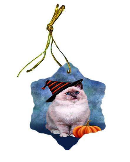 Happy Halloween Ragdoll Cat Wearing Witch Hat with Pumpkin Ceramic Doily Ornament DPOR54894