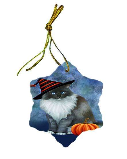 Happy Halloween Ragdoll Cat Wearing Witch Hat with Pumpkin Ceramic Doily Ornament DPOR54895