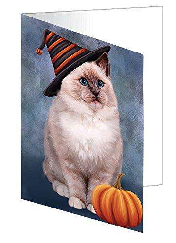 Happy Halloween Ragdoll Cat Wearing Witch Hat with Pumpkin Handmade Artwork Assorted Pets Greeting Cards and Note Cards with Envelopes for All Occasions and Holiday Seasons D053