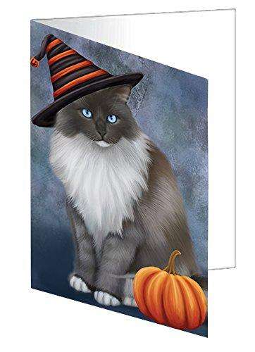 Happy Halloween Ragdoll Cat Wearing Witch Hat with Pumpkin Handmade Artwork Assorted Pets Greeting Cards and Note Cards with Envelopes for All Occasions and Holiday Seasons D055