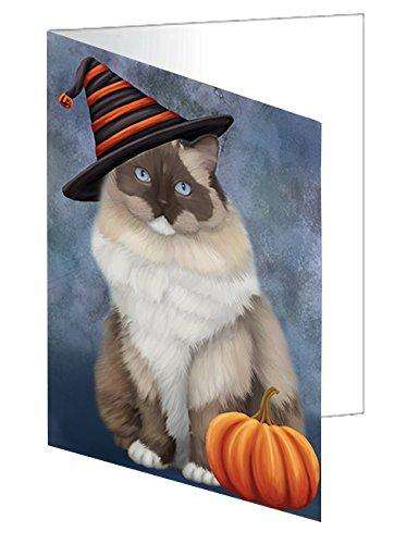 Happy Halloween Ragdoll Cat Wearing Witch Hat with Pumpkin Handmade Artwork Assorted Pets Greeting Cards and Note Cards with Envelopes for All Occasions and Holiday Seasons D057