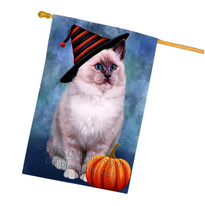 Happy Halloween Ragdoll Cat Wearing Witch Hat with Pumpkin House Flag FLG55092