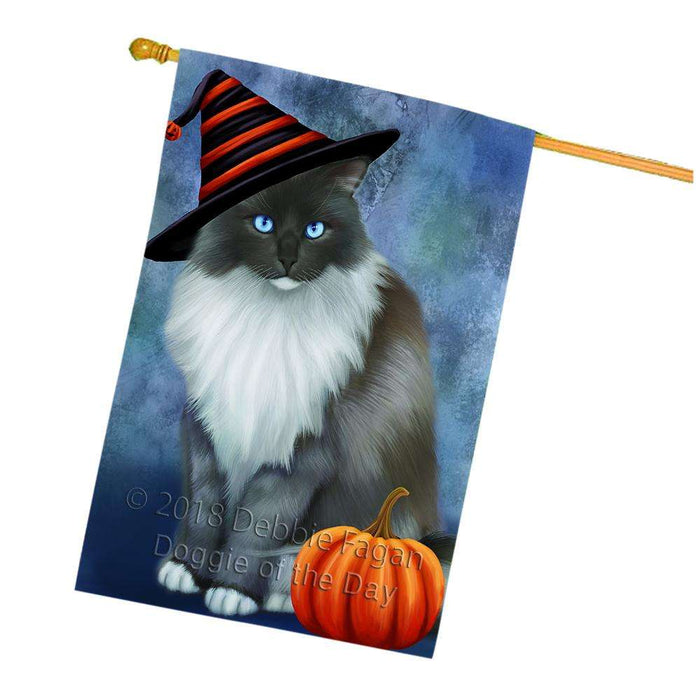 Happy Halloween Ragdoll Cat Wearing Witch Hat with Pumpkin House Flag FLG55093