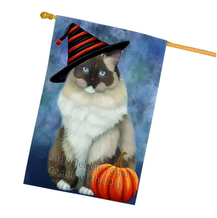 Happy Halloween Ragdoll Cat Wearing Witch Hat with Pumpkin House Flag FLG55094