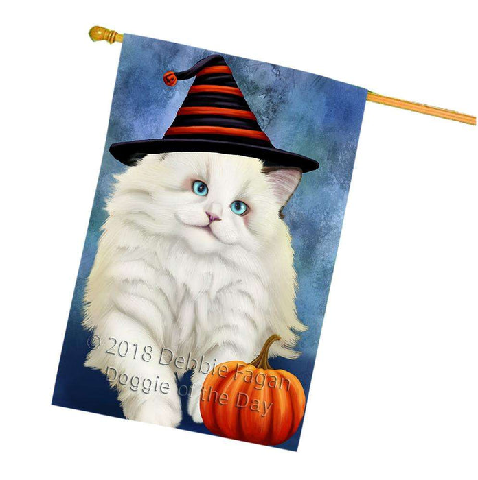 Happy Halloween Ragdoll Cat Wearing Witch Hat with Pumpkin House Flag FLG55096