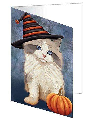 Happy Halloween Ragdoll Kitten Cat Wearing Witch Hat with Pumpkin Handmade Artwork Assorted Pets Greeting Cards and Note Cards with Envelopes for All Occasions and Holiday Seasons D059