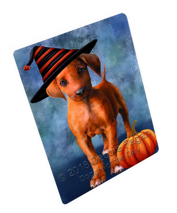 Happy Halloween Rhodesian Ridgeback Dog Wearing Witch Hat with Pumpkin Blanket BLNKT111432