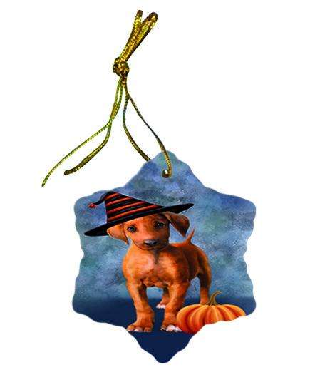 Happy Halloween Rhodesian Ridgeback Dog Wearing Witch Hat with Pumpkin Ceramic Doily Ornament DPOR54899