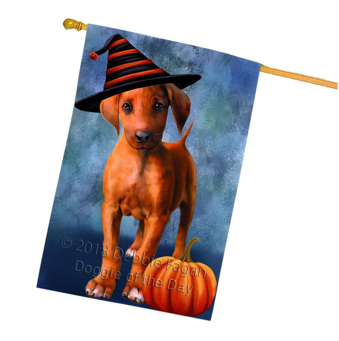 Happy Halloween Rhodesian Ridgeback Dog Wearing Witch Hat with Pumpkin House Flag FLG55097