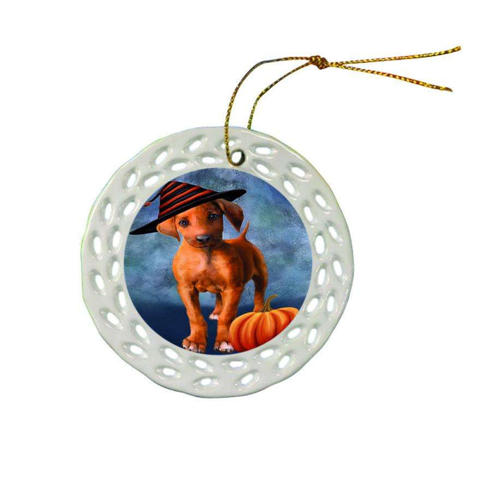 Happy Halloween Rhodesian Ridgeback Dog Wearing Witch Hat with Pumpkin Star Porcelain Ornament SPOR54890