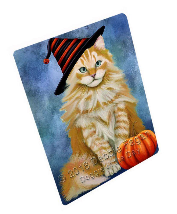 Happy Halloween Siberian Cat Wearing Witch Hat with Pumpkin Large Refrigerator / Dishwasher Magnet RMAG90348