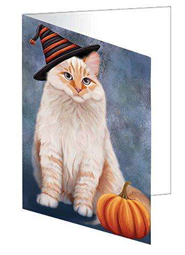Happy Halloween Siberian Red Cat Wearing Witch Hat with Pumpkin Handmade Artwork Assorted Pets Greeting Cards and Note Cards with Envelopes for All Occasions and Holiday Seasons D101