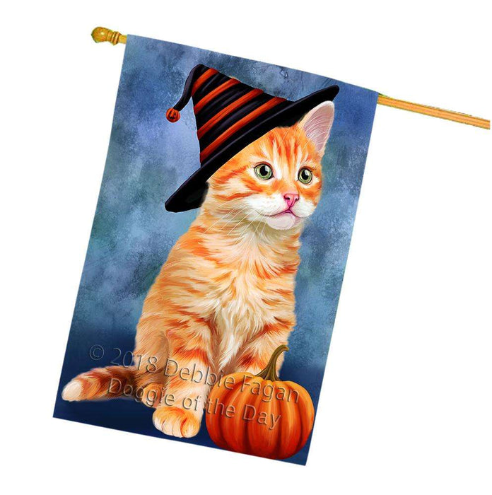 Happy Halloween Tabbie Cat Wearing Witch Hat with Pumpkin House Flag FLG55116