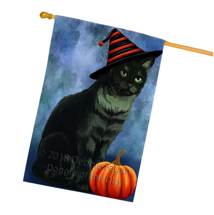 Happy Halloween Tabbie Cat Wearing Witch Hat with Pumpkin House Flag FLG55117
