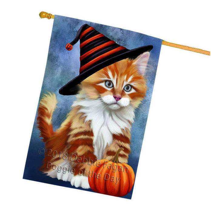 Happy Halloween Tabbie Cat Wearing Witch Hat with Pumpkin House Flag FLG55119