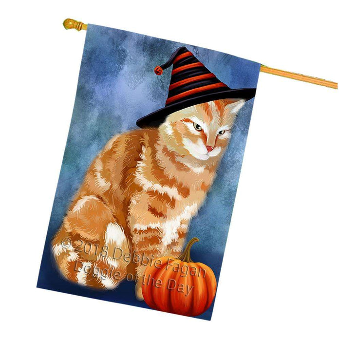 Happy Halloween Tabbie Cat Wearing Witch Hat with Pumpkin House Flag FLG55120