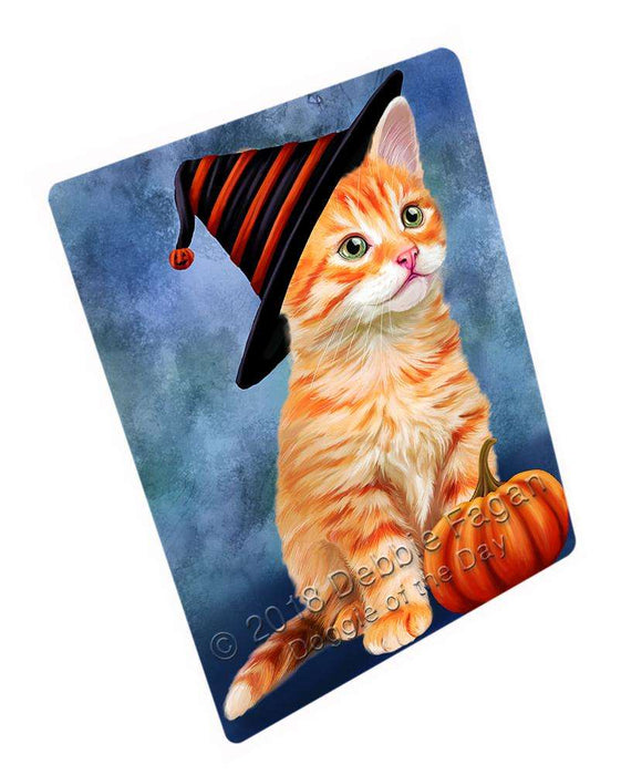 Happy Halloween Tabbie Cat Wearing Witch Hat with Pumpkin Large Refrigerator / Dishwasher Magnet RMAG90390