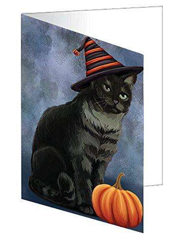 Happy Halloween Tabby Cat Wearing Witch Hat with Pumpkin Handmade Artwork Assorted Pets Greeting Cards and Note Cards with Envelopes for All Occasions and Holiday Seasons D117
