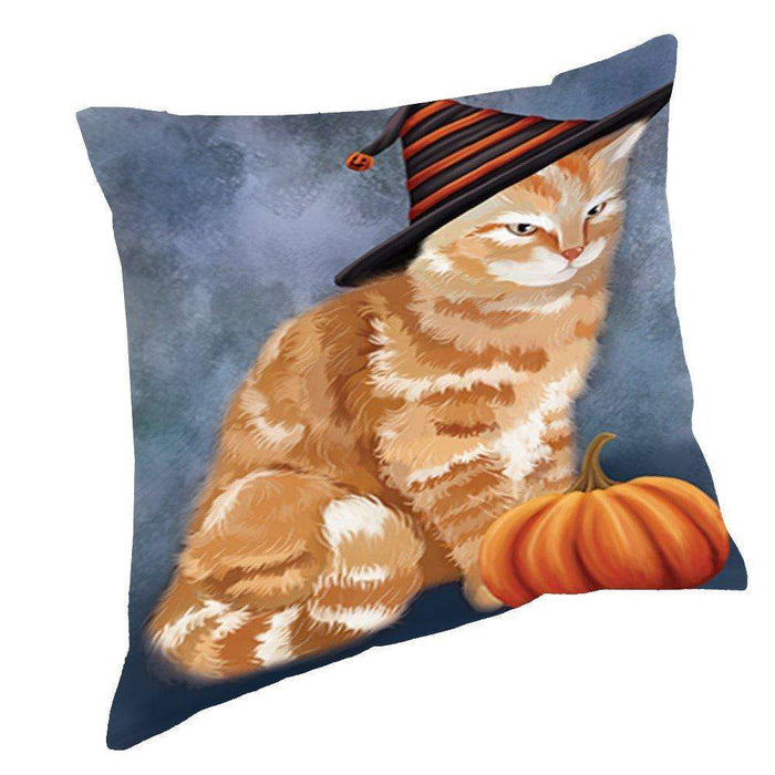 Happy Halloween Tabby Cat Wearing Witch Hat with Pumpkin Throw Pillow D195