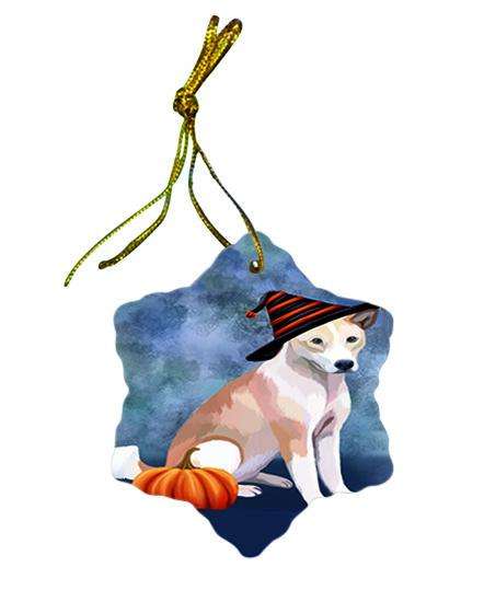 Happy Halloween Telomian Dog Wearing Witch Hat with Pumpkin Ceramic Doily Ornament DPOR54923