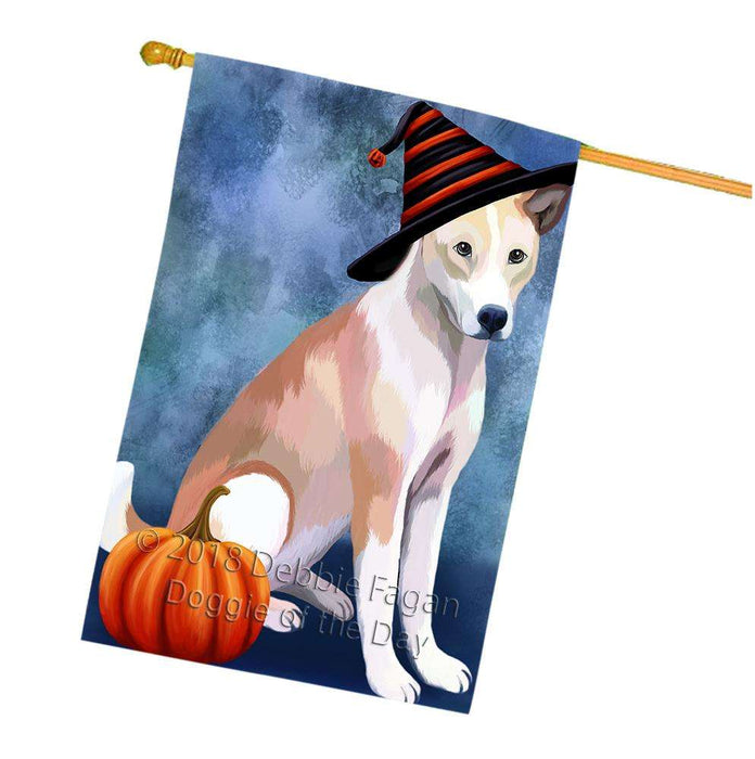 Happy Halloween Telomian Dog Wearing Witch Hat with Pumpkin House Flag FLG55121