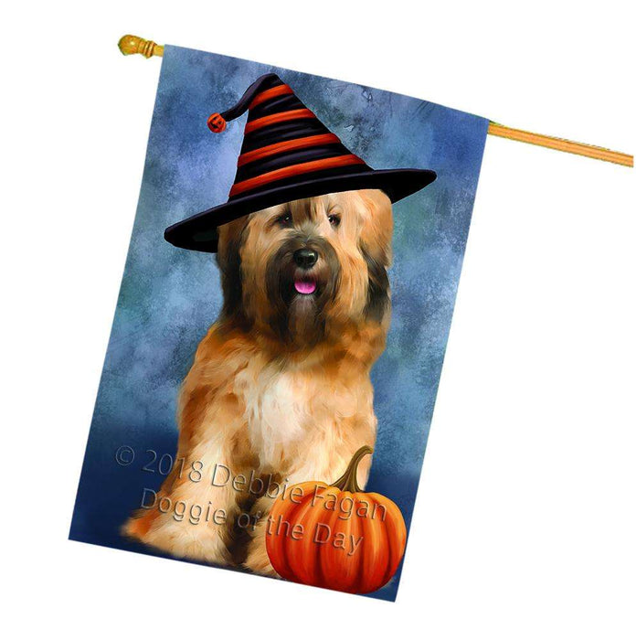 Happy Halloween Tibetan Terrier Dog Wearing Witch Hat with Pumpkin House Flag FLG55124