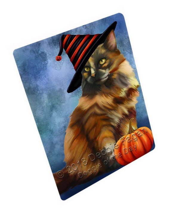 Happy Halloween Tortoiseshell Cat Wearing Witch Hat with Pumpkin Large Refrigerator / Dishwasher Magnet RMAG90456