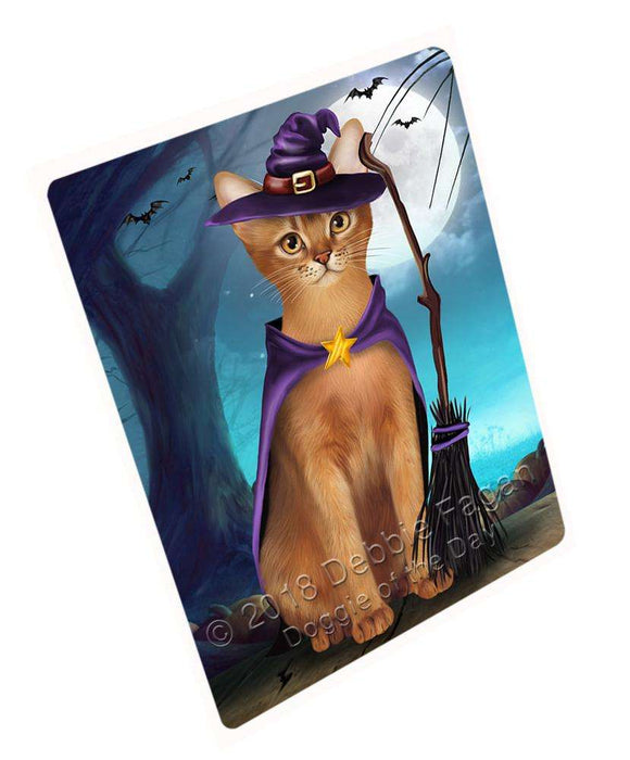 Happy Halloween Trick or Treat Abyssinian Cat Witch Large Refrigerator / Dishwasher Magnet RMAG75510